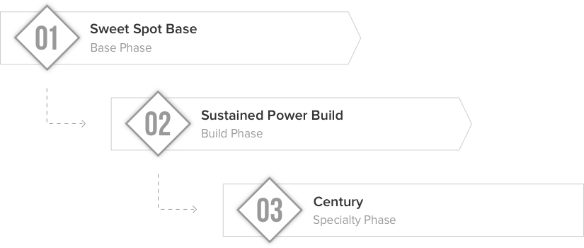 century-training-phases