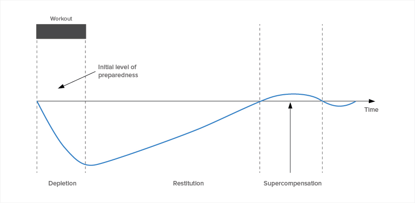 Figure A: Level of preparedness becomes depleted by training stress, only to be restored as time moves on through recovery. According to the model, you leave compensation through recovery, and surpass earlier preparedness opening a window to reintroduce training stress.