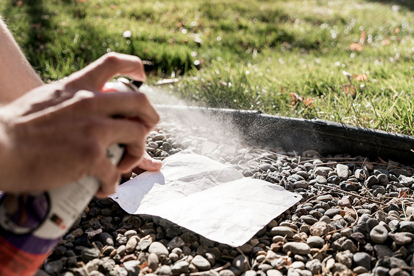 Applying spray adhesive to a race number