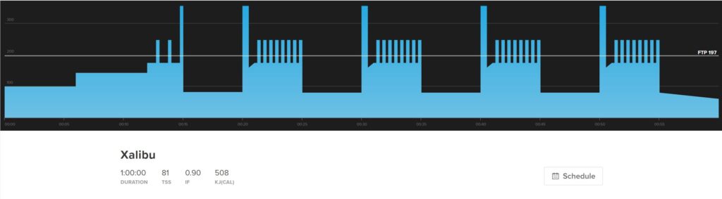 Xalibu is a VO2 Max workout in a mountain bike training plan that focuses on building short power.