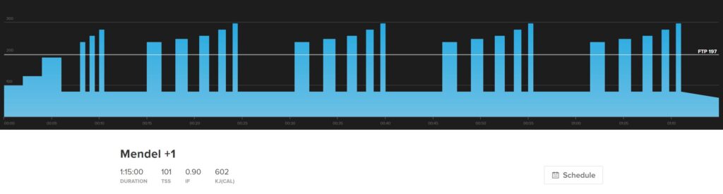 Mendel +1 is a VO2 Max workout in a mountain bike training plan that focuses on building short power.