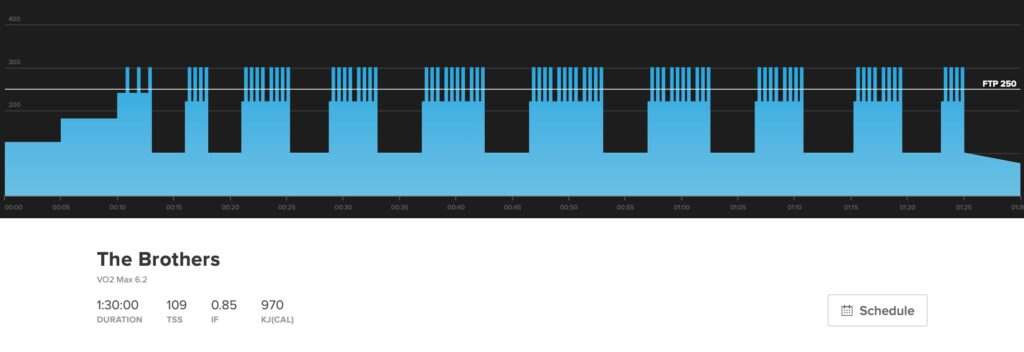 This graph shows The Brothers, a VO2 max, cyclocross workout. 