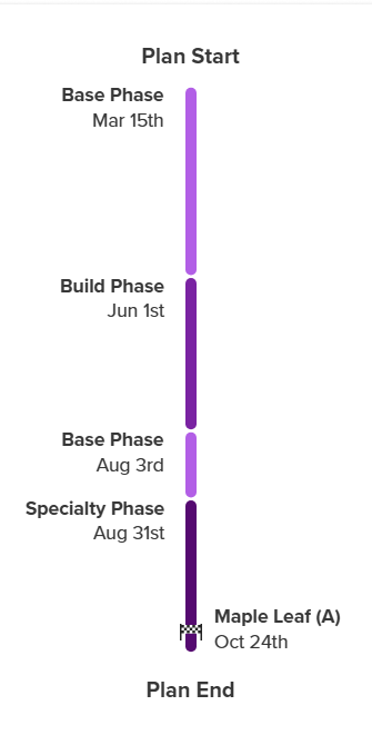 Plan Builder timeline
